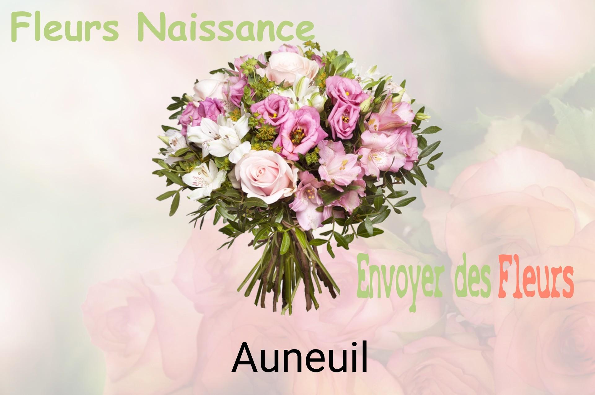 Bouquet de fleurs de naissance livré à Auneuil