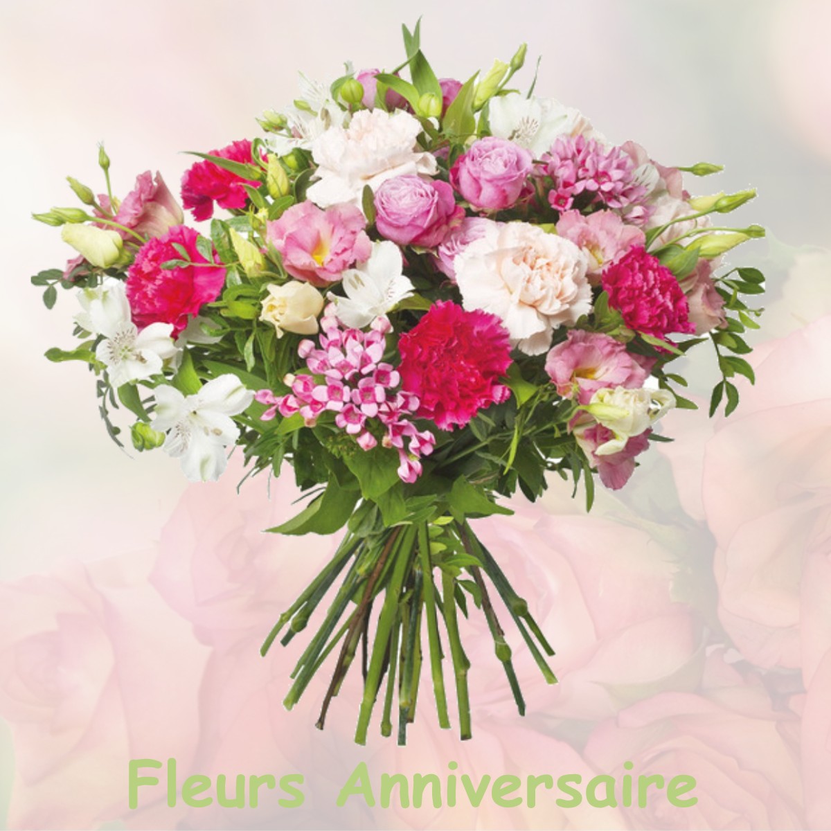 fleurs anniversaire AUNEUIL